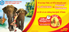 Vé máy bay Vietjet 0 Đồng cho đường bay TPHCM đi Chiang mai, Phuket